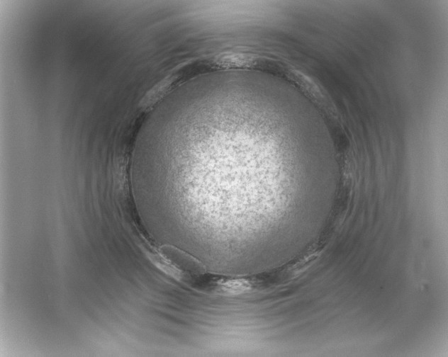 X0000066020409200603171537