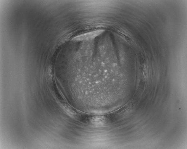 X0000066020410200603171537