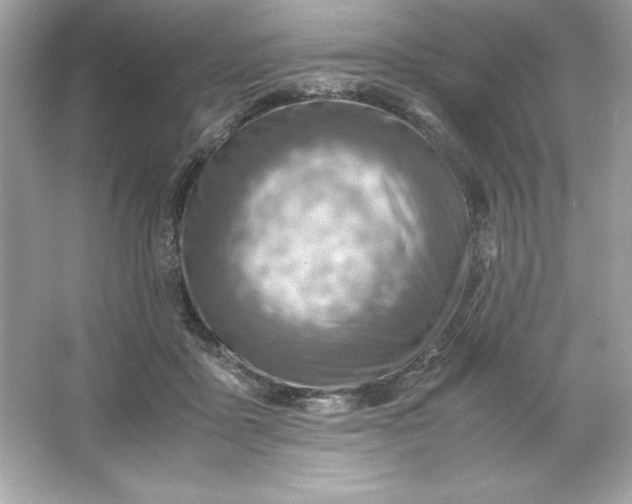 X0000066020411200603171537