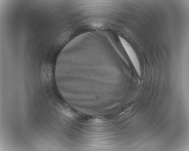 X0000066020412200603171537