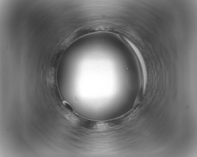 X0000066020413200603171537