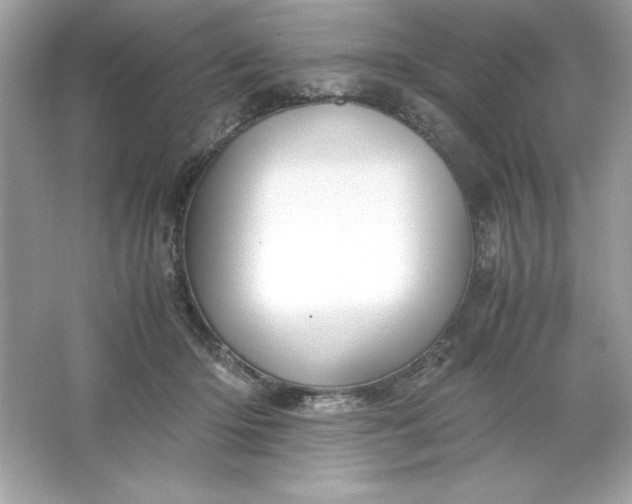 X0000066020414200603171537