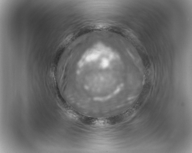 X0000066020415200603171537