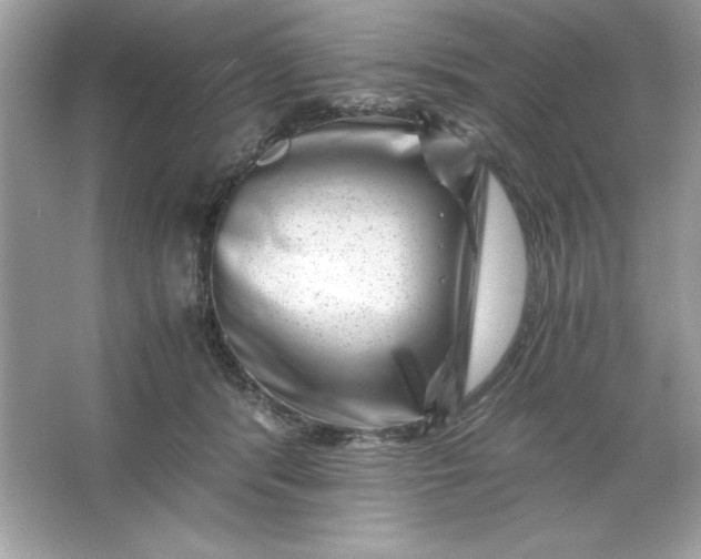 X0000066020416200603171537