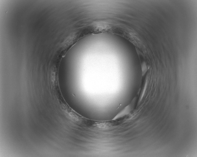 X0000066020417200603171537