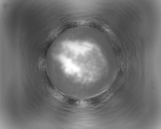 X0000066020419200603171537