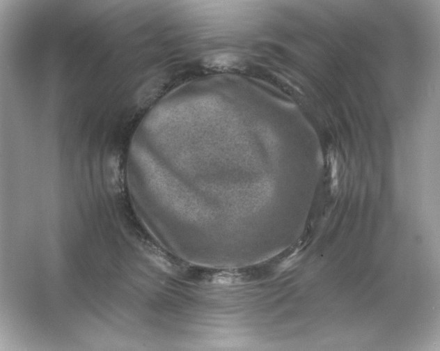 X0000066020420200603171537