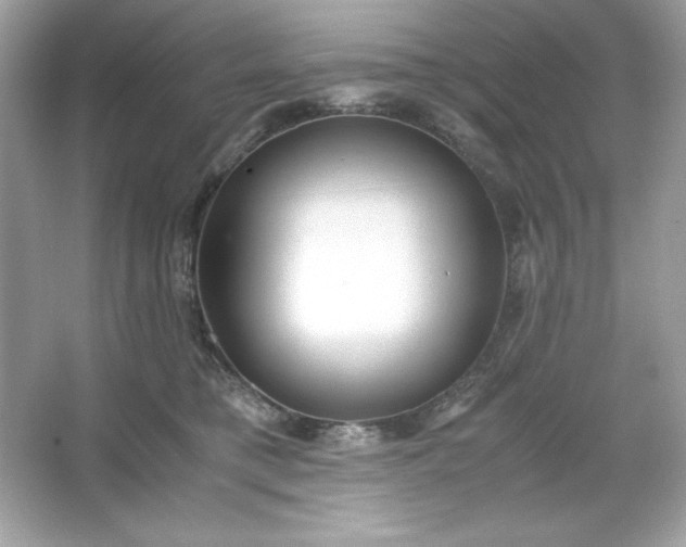 X0000066020421200603171537