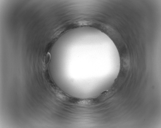 X0000066020422200603171537