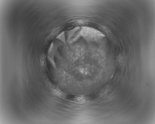 X0000066020423200603171537