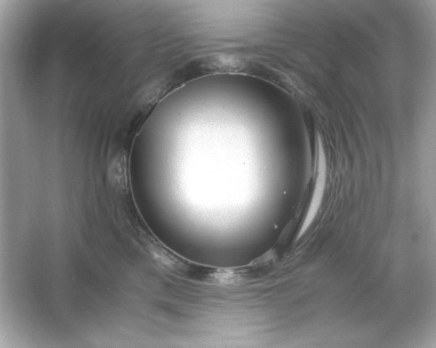 X0000066020425200603171537