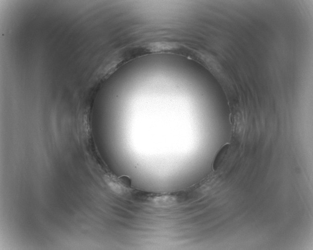 X0000066020426200603171537