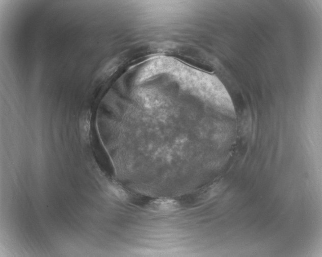 X0000066020427200603171537