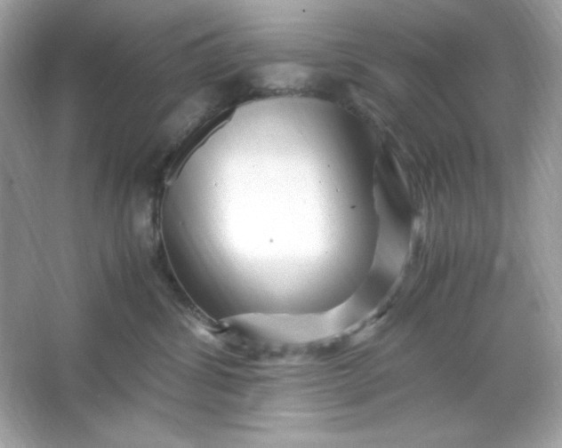 X0000066020428200603171537