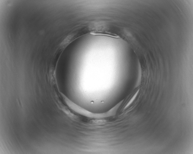 X0000066020429200603171537