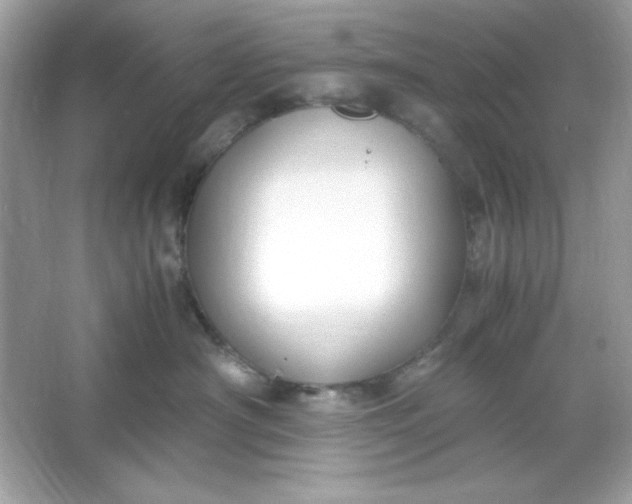 X0000066020430200603171536