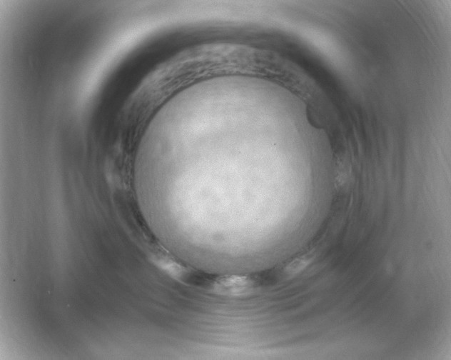 X0000066020431200603171536