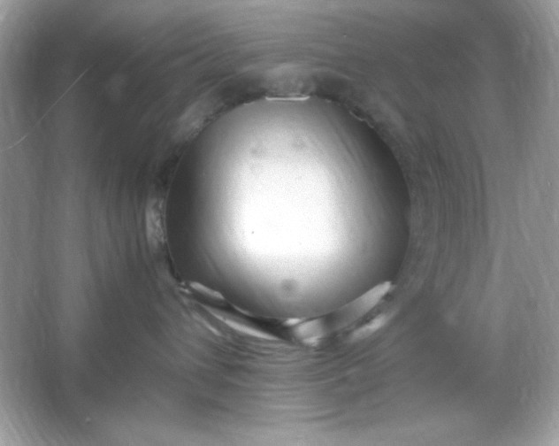 X0000066020432200603171536