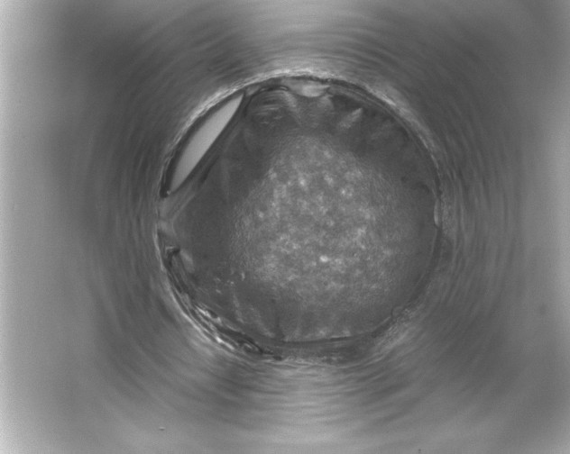 X0000066020434200603171536