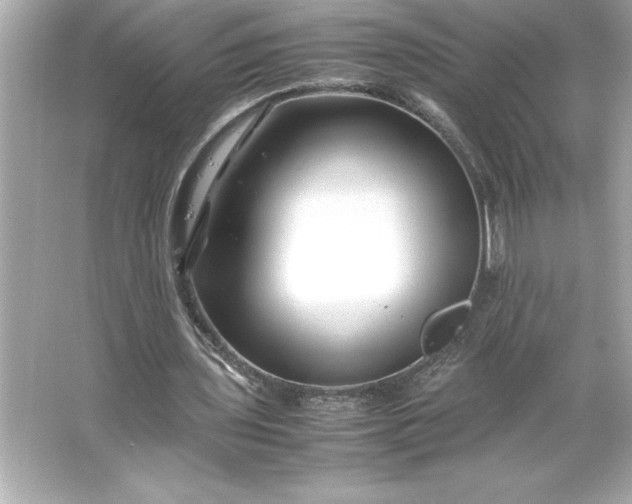 X0000066020435200603171536