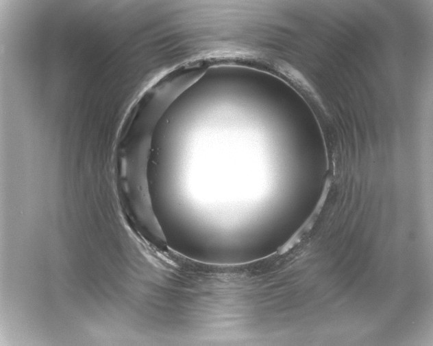 X0000066020436200603171536