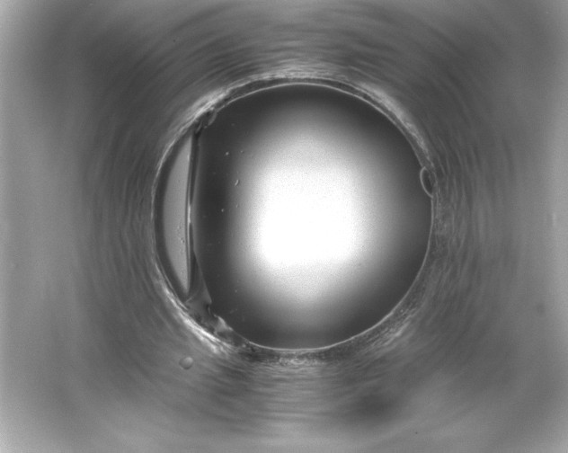 X0000066020437200603171536