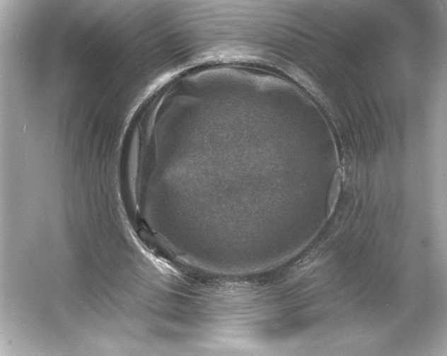 X0000066020438200603171536