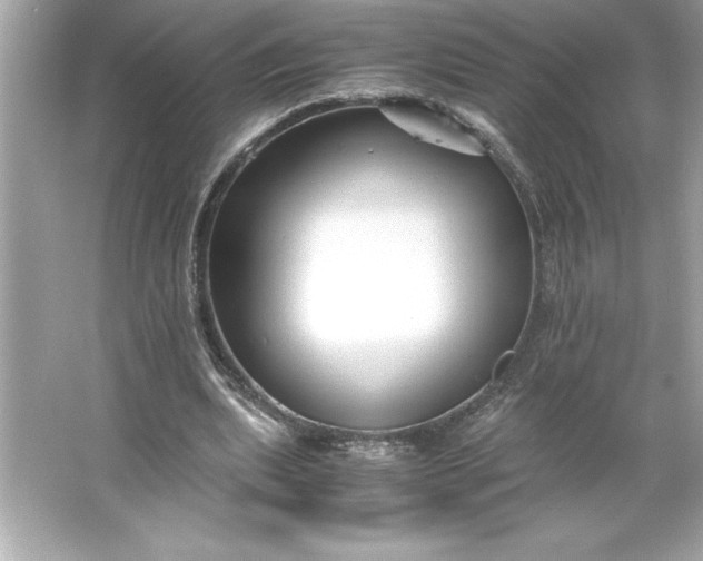 X0000066020439200603171536