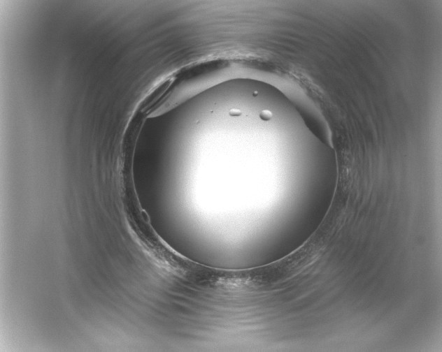 X0000066020440200603171536