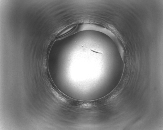 X0000066020441200603171536