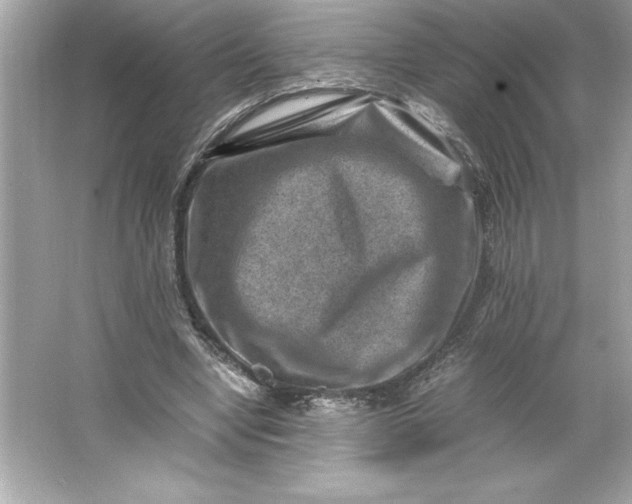 X0000066020442200603171536