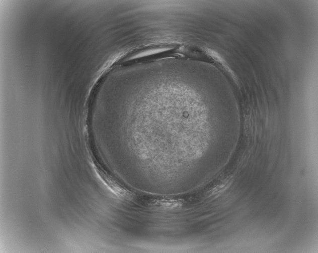 X0000066020443200603171536