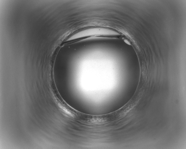 X0000066020445200603171536