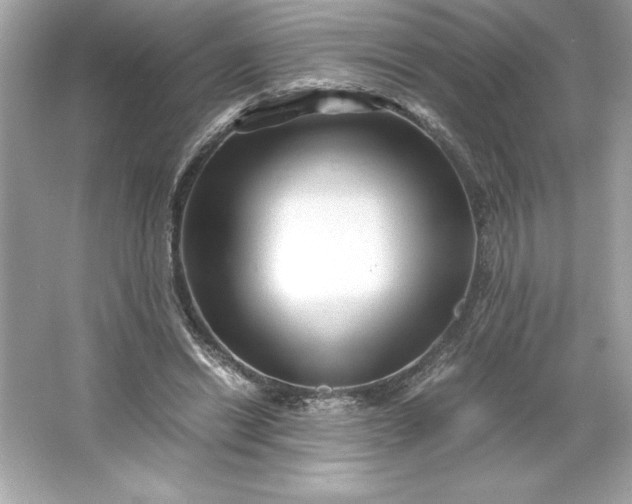 X0000066020446200603171536