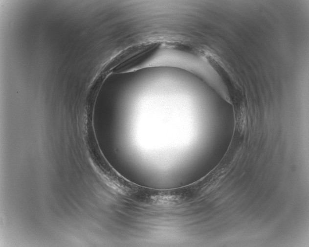 X0000066020448200603171536