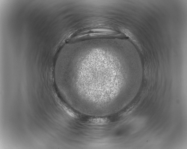 X0000066020449200603171536