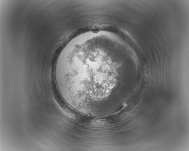 X0000066020451200603171536