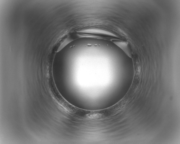 X0000066020452200603171536