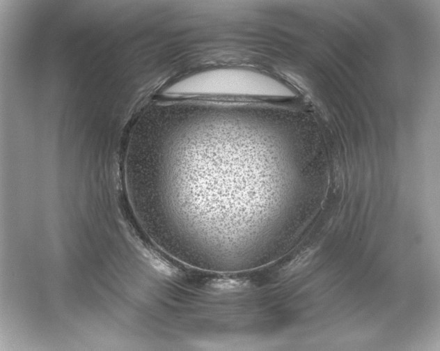 X0000066020453200603171536