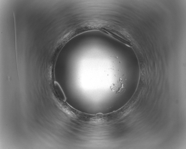 X0000066020454200603171536