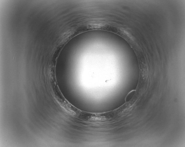 X0000066020455200603171536