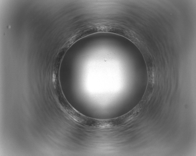 X0000066020456200603171536