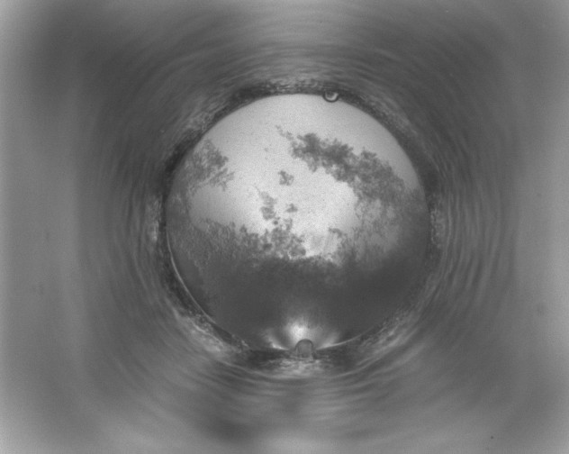 X0000066020458200603171536