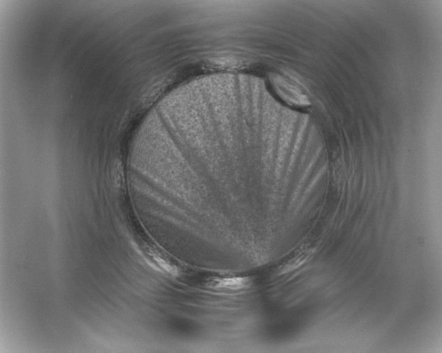 X0000066020459200603171536