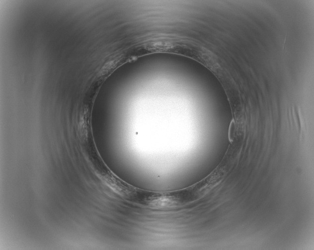 X0000066020460200603171536