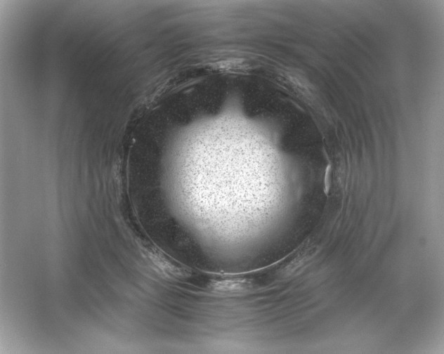 X0000066020461200603171536