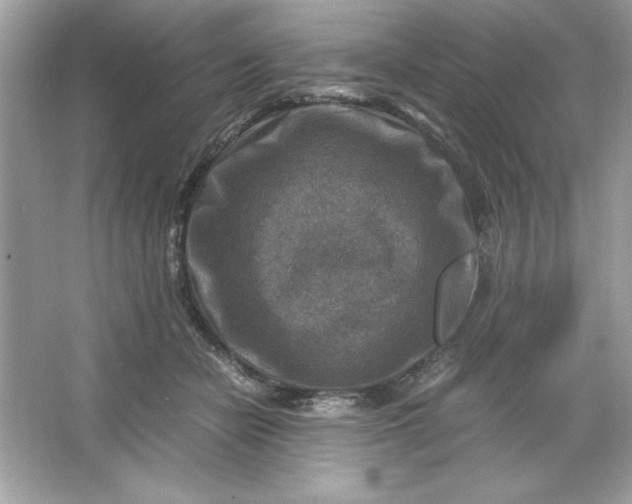 X0000066020462200603171536