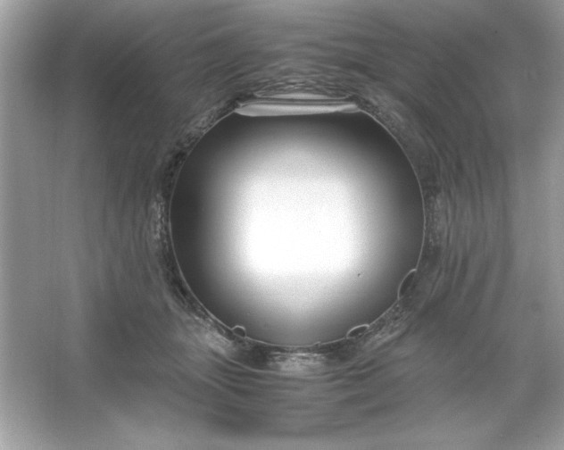 X0000066020463200603171536