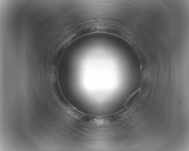 X0000066020464200603171536