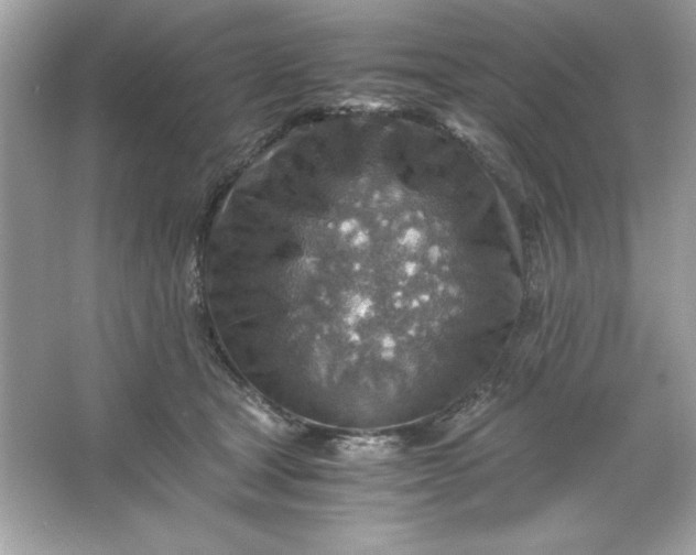 X0000066020465200603171536